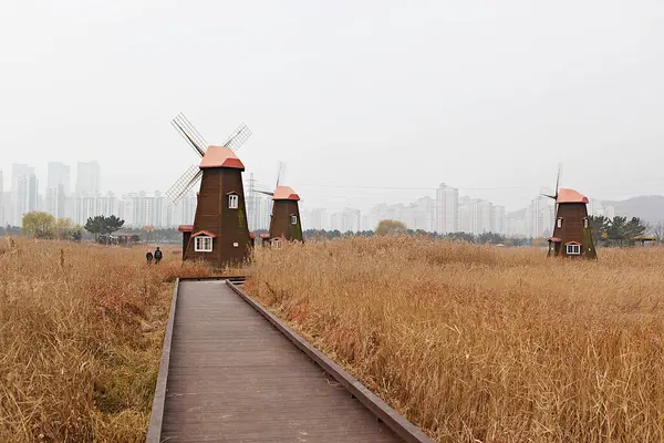 Ветряная Мельница Экологическом Парке Корея — стоковое фото
