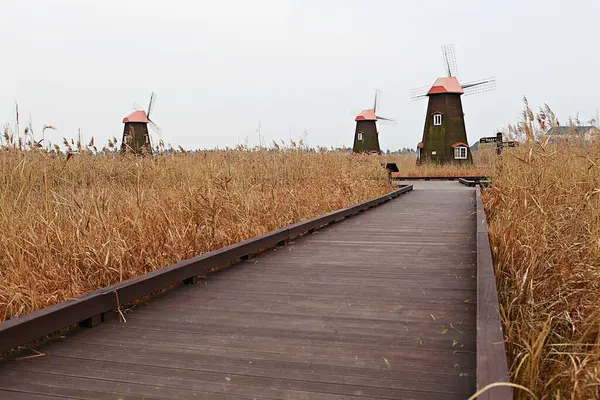 Szélmalom Koreai Ökológiai Parkban — Stock Fotó