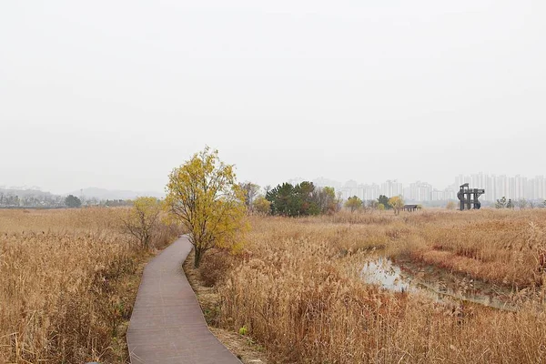 Molino Viento Parque Ecológico Corea — Foto de Stock