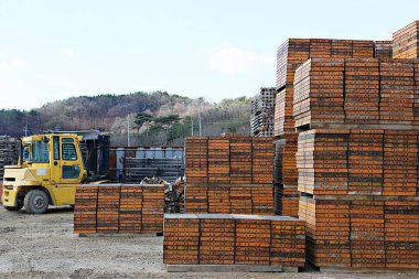  Kore 'de inşaat malzemeleri kiralayan bir yer.