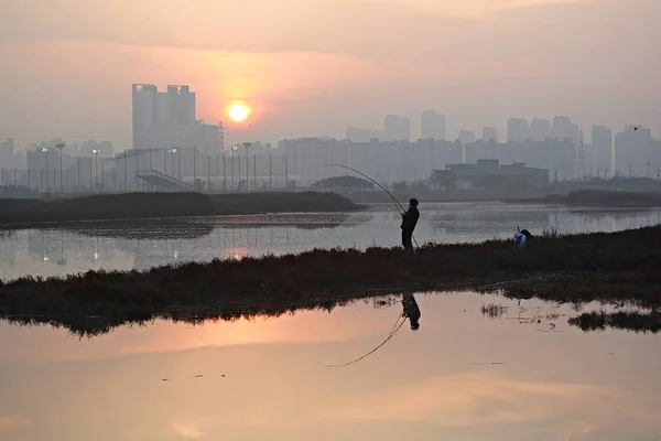 Védett Mint Egy Ökológiai Park Koreában — Stock Fotó