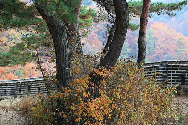 Sua Fortaleza Sul Hansanseong Coréia — Fotografia de Stock