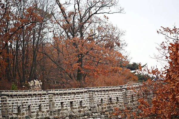 Sua Fortezza Sud Hansanseong Corea — Foto Stock