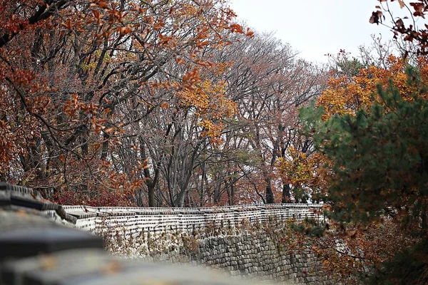 Sua Fortezza Sud Hansanseong Corea — Foto Stock
