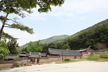 Kore 'de okuduğum bir yer..