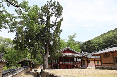 Kore 'de okuduğum bir yer..