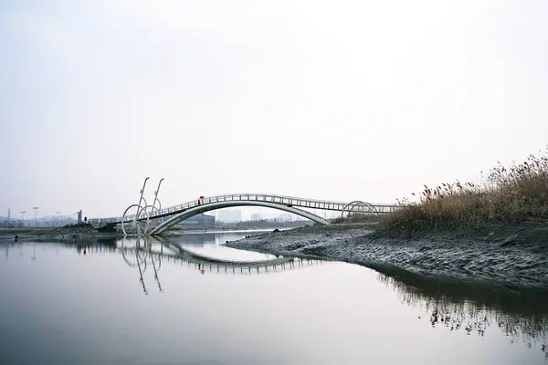 Protegido Como Parque Ecológico Corea — Foto de Stock