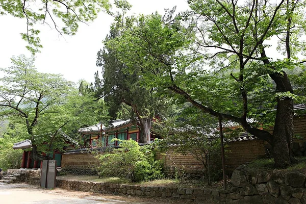 私が韓国で勉強した場所です — ストック写真