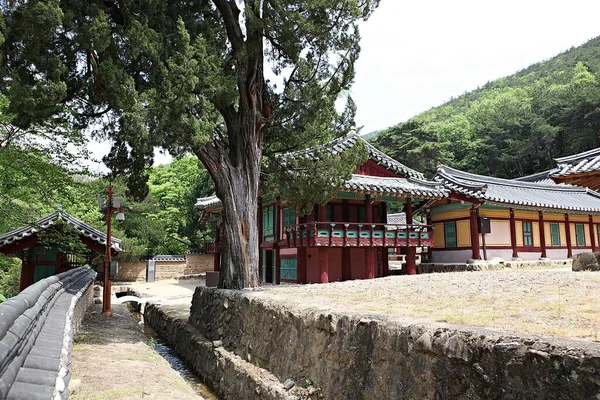 Ist Ein Ort Verwendet Studie Korea — Stockfoto