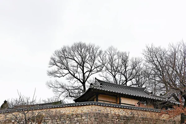 Eski Evi Koruyan Bir Köy — Stok fotoğraf