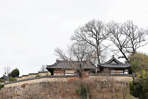 Eski Evi Koruyan Bir Köy — Stok fotoğraf