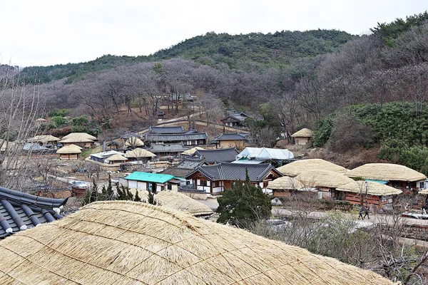 Eski Evi Koruyan Bir Köy — Stok fotoğraf