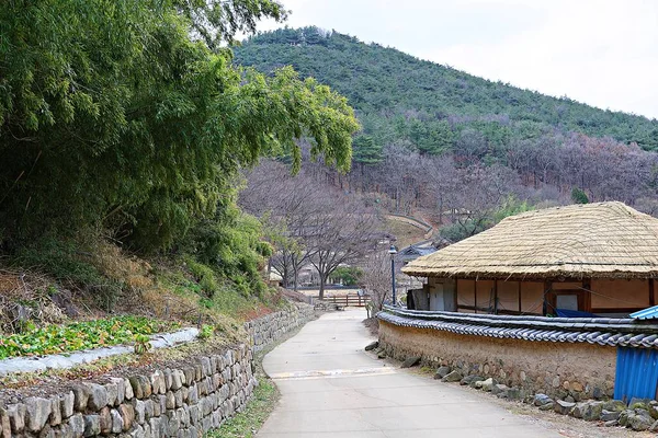 Its Village Preserves Old House — 图库照片