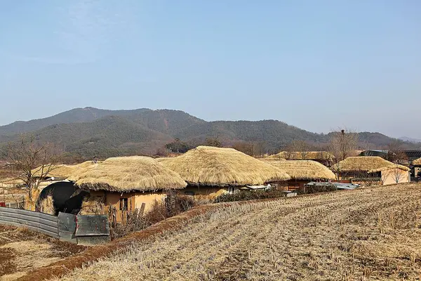 Est Village Qui Préserve Vieille Maison — Photo