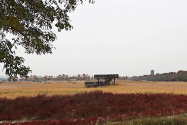 Kore 'de bir ekolojik park olarak korunuyor.