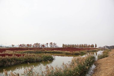Kore 'de bir ekolojik park olarak korunuyor.