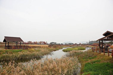 Kore 'de bir ekolojik park olarak korunuyor.