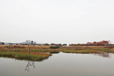 Kore 'de bir ekolojik park olarak korunuyor.