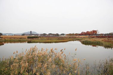 Kore 'de bir ekolojik park olarak korunuyor.