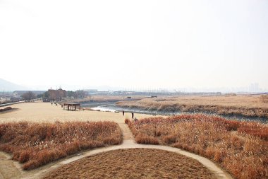 Kore 'de bir ekolojik park olarak korunuyor.