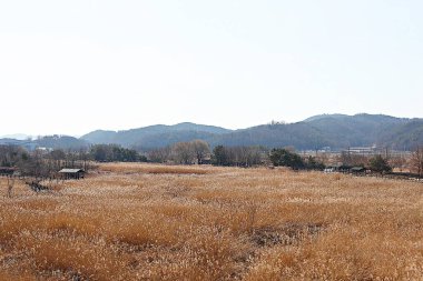 Kore 'de bir ekolojik park olarak korunuyor.