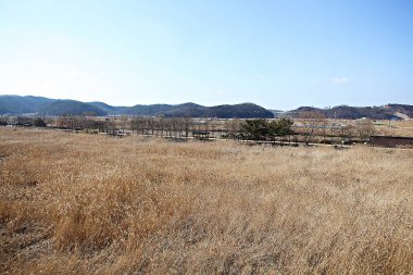 Kore 'de bir ekolojik park olarak korunuyor.