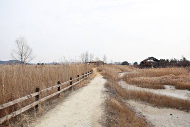 Kore 'de bir ekolojik park olarak korunuyor.