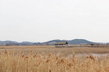 Kore 'de bir ekolojik park olarak korunuyor.
