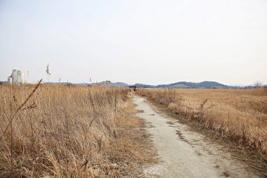 Kore 'de bir ekolojik park olarak korunuyor.
