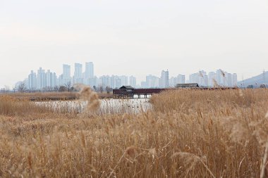 Kore 'de bir ekolojik park olarak korunuyor.