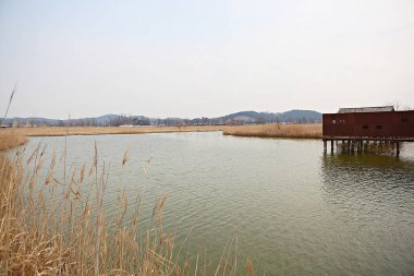 Kore 'de bir ekolojik park olarak korunuyor.
