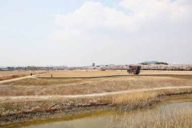Kore 'de bir ekolojik park olarak korunuyor.