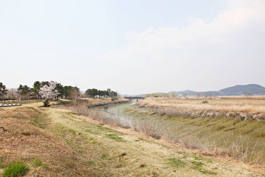 Kore 'de bir ekolojik park olarak korunuyor.