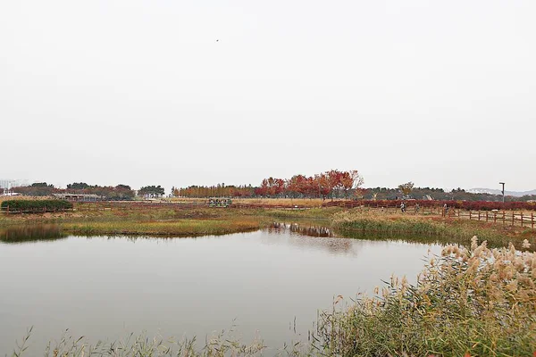 Kore 'de bir ekolojik park olarak korunuyor.