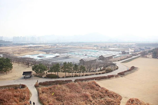 Protegido Como Parque Ecológico Corea —  Fotos de Stock