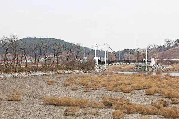 Jest Chroniony Jako Ekologiczny Park Korei — Zdjęcie stockowe