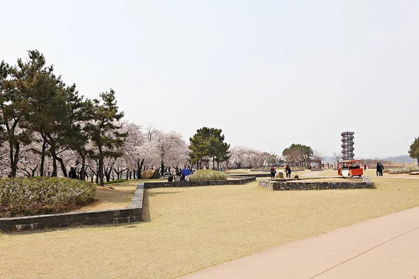 Als Ökologischer Park Korea Geschützt — Stockfoto