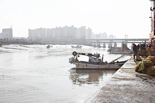 Ses Bateaux Pêche Coréens — Photo