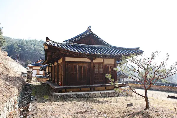 Eski Evi Koruyan Bir Köy — Stok fotoğraf