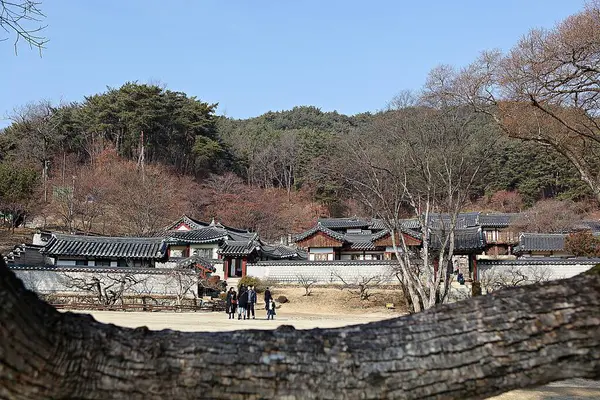 Είναι Ένα Μέρος Όπου Χρησιμοποιείται Μελέτη Στην Κορέα — Φωτογραφία Αρχείου