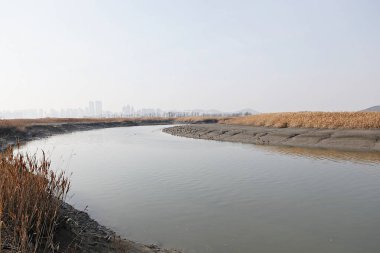 Kore 'de bir ekolojik park olarak korunuyor.