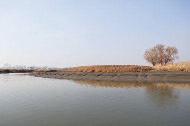 Kore 'de bir ekolojik park olarak korunuyor.