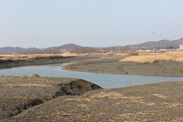 Seu Protegido Como Parque Ecológico Coréia — Fotografia de Stock