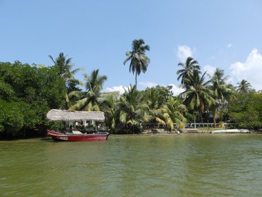 Laguna Hikkaduwa içinde. Sri Lanka