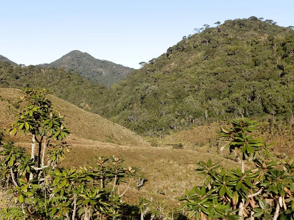 Landskapet i nationalparken horton plains, sri lanka — Stockfoto