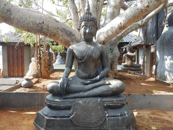 Boeddhabeeld in de tempel colombo — Stockfoto