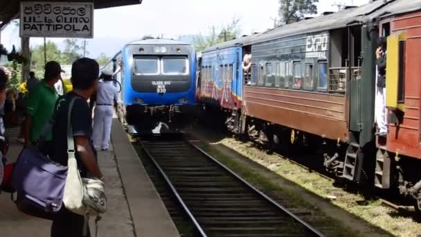 Ankomst Toget Til Stationen Pattipola Sri Lanka – Stock-video