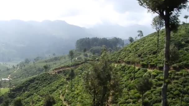 Uitzicht Vanaf Trein Naar Ella Sri Lanka — Stockvideo