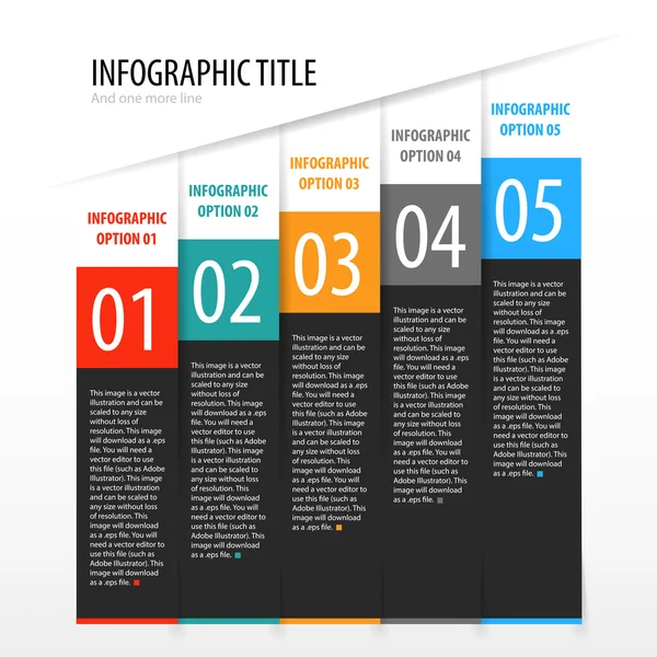 Infographic options banner. — Stock Vector
