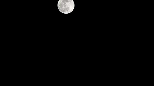 Luna Timelapse Timpul Stocului Luna Plină Răsărit Cer Întunecat Natură — Videoclip de stoc